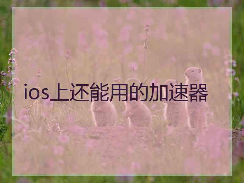 ios上还能用的加速器 ios上还能用的加速器