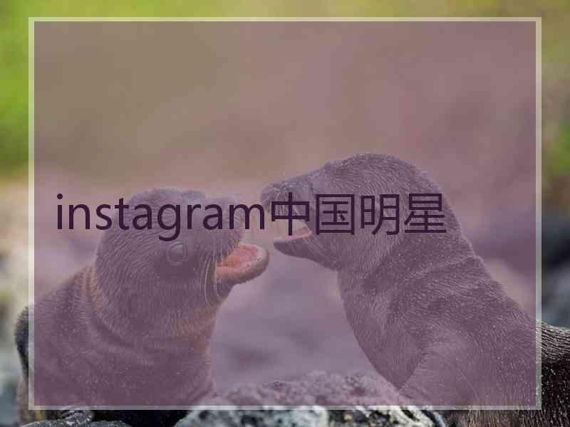 instagram中国明星 instagram中国明星