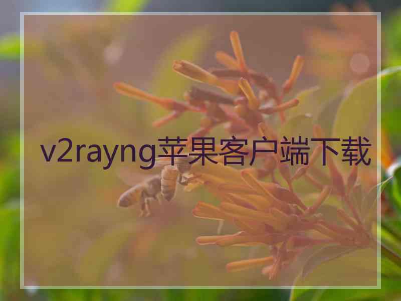 v2rayng苹果客户端下载 v2rayng苹果客户端下载