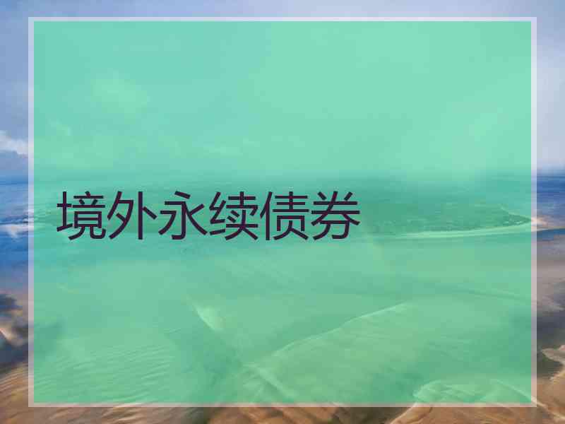 境外永续债券 境外永续债券