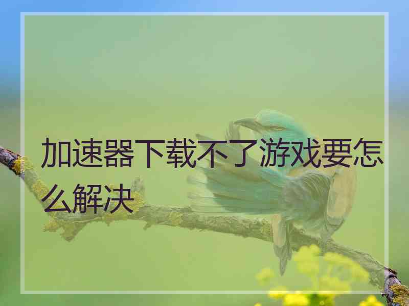加速器下载不了游戏要怎么解决 加速器下载不了游戏要怎么解决
