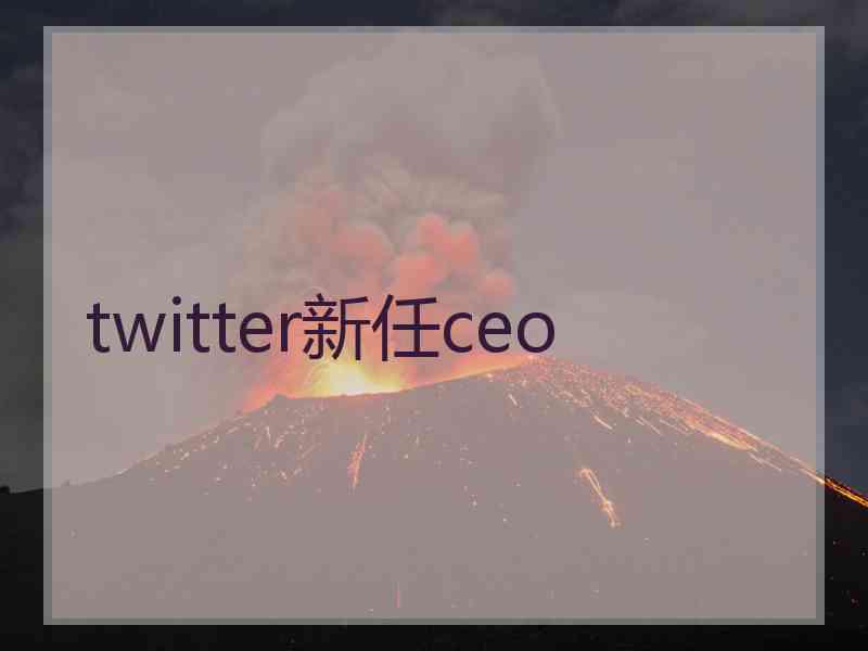 twitter新任ceo twitter新任ceo