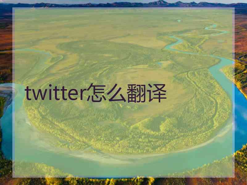 twitter怎么翻译 twitter怎么翻译