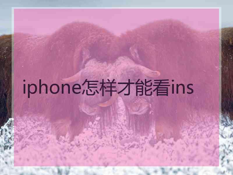 iphone怎样才能看ins iphone怎样才能看ins