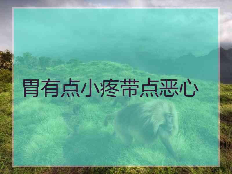胃有点小疼带点恶心 胃有点小疼带点恶心