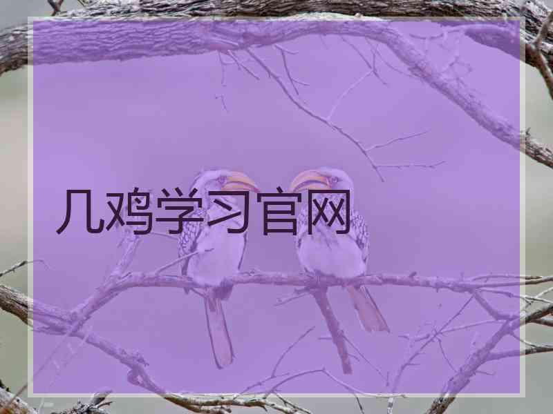 几鸡学习官网 几鸡学习官网