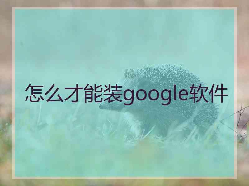 怎么才能装google软件 怎么才能装google软件