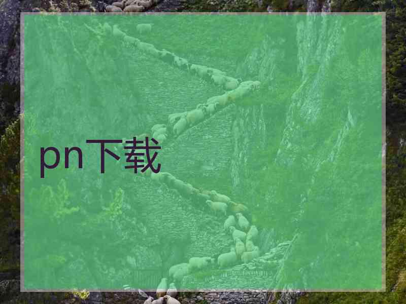 pn下载 pn下载