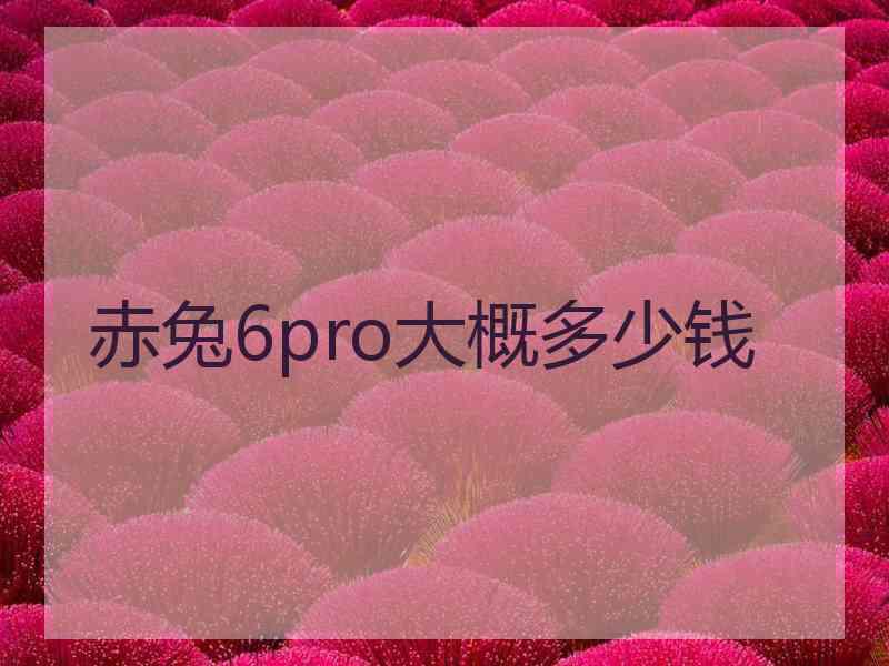 赤兔6pro大概多少钱 赤兔6pro大概多少钱