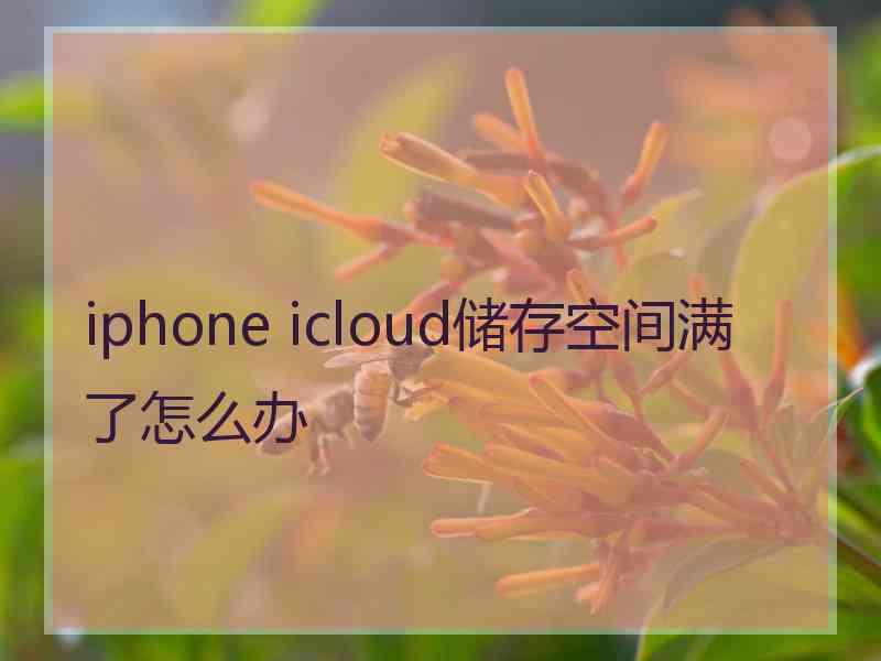 iphone icloud储存空间满了怎么办 iphone icloud储存空间满了怎么办