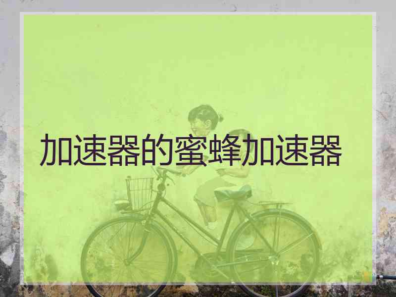 加速器的蜜蜂加速器 加速器的蜜蜂加速器