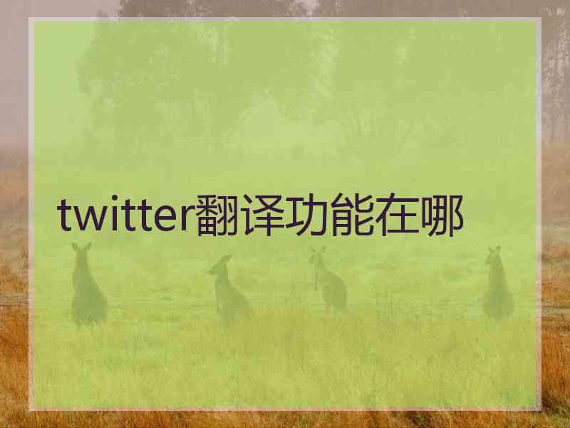 twitter翻译功能在哪 twitter翻译功能在哪