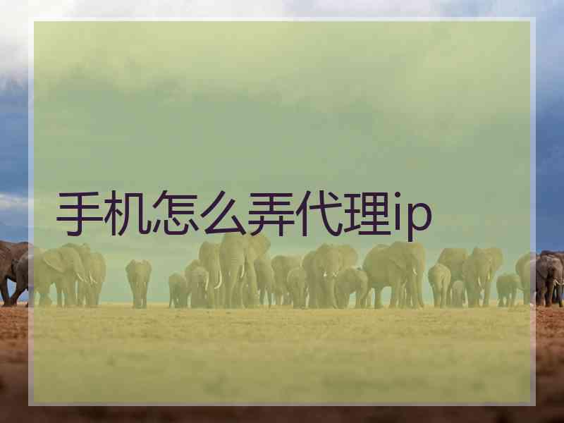 手机怎么弄代理ip 手机怎么弄代理ip