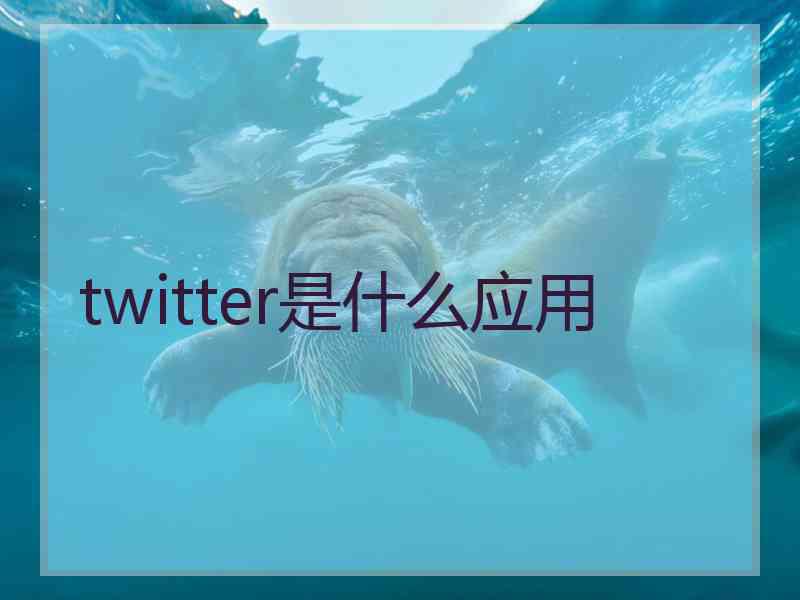 twitter是什么应用 twitter是什么应用