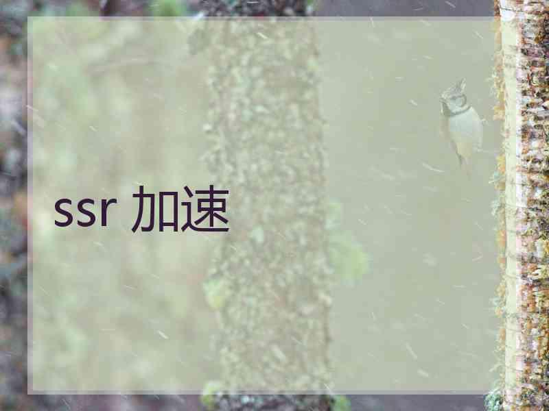 ssr 加速 ssr 加速