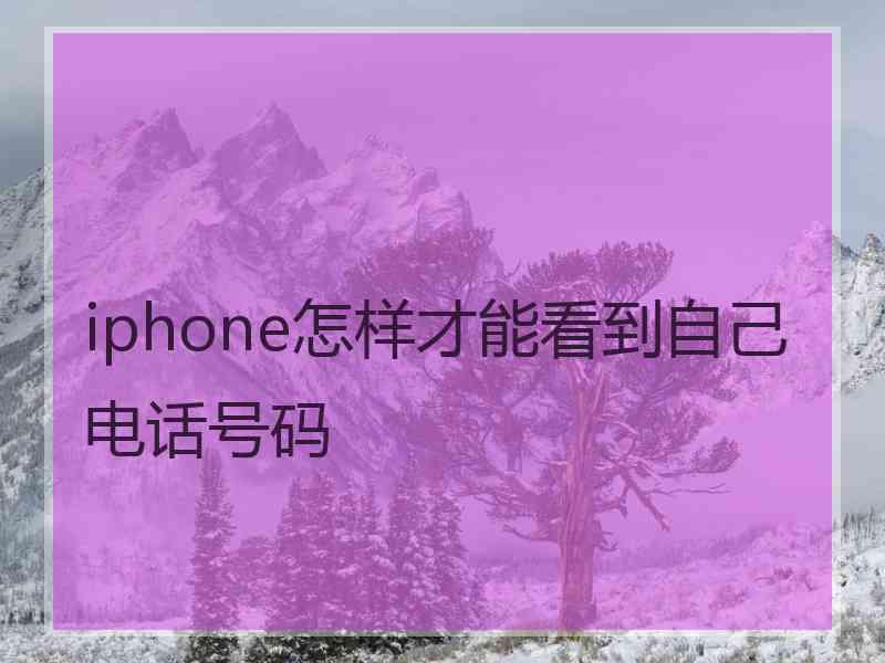 iphone怎样才能看到自己电话号码 iphone怎样才能看到自己电话号码