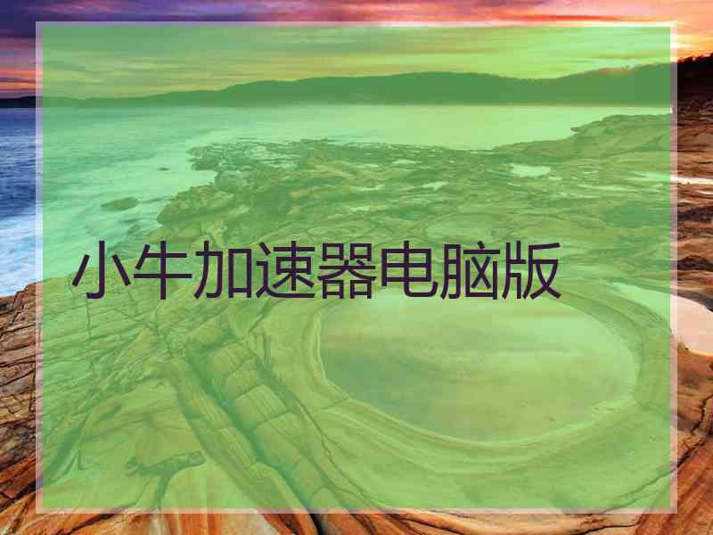 小牛加速器电脑版