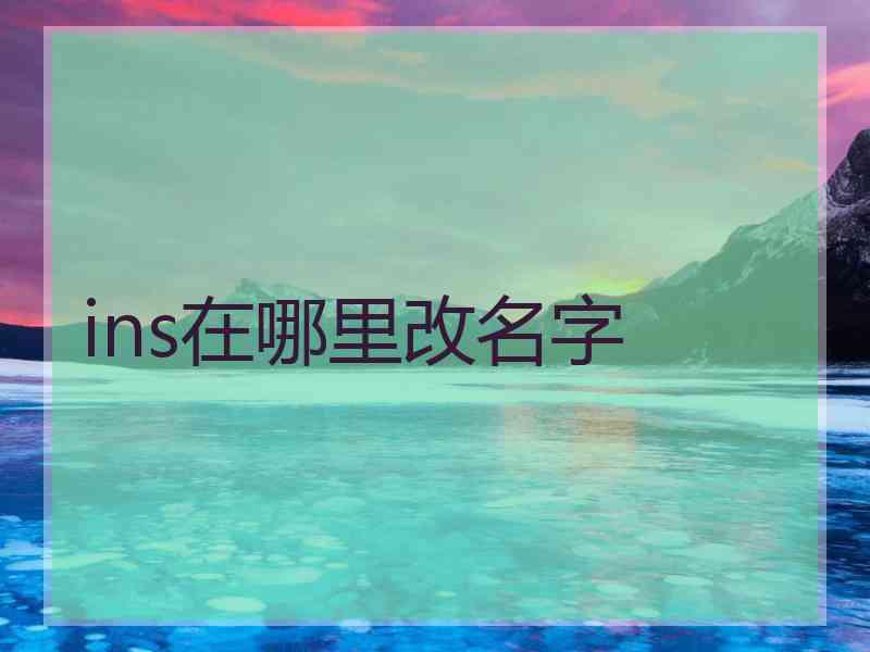 ins在哪里改名字