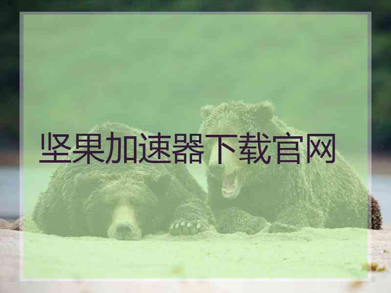 坚果加速器下载官网