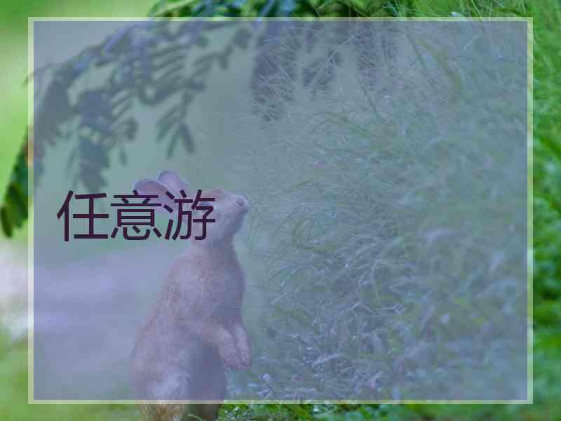 任意游