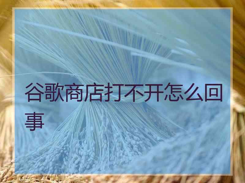 谷歌商店打不开怎么回事