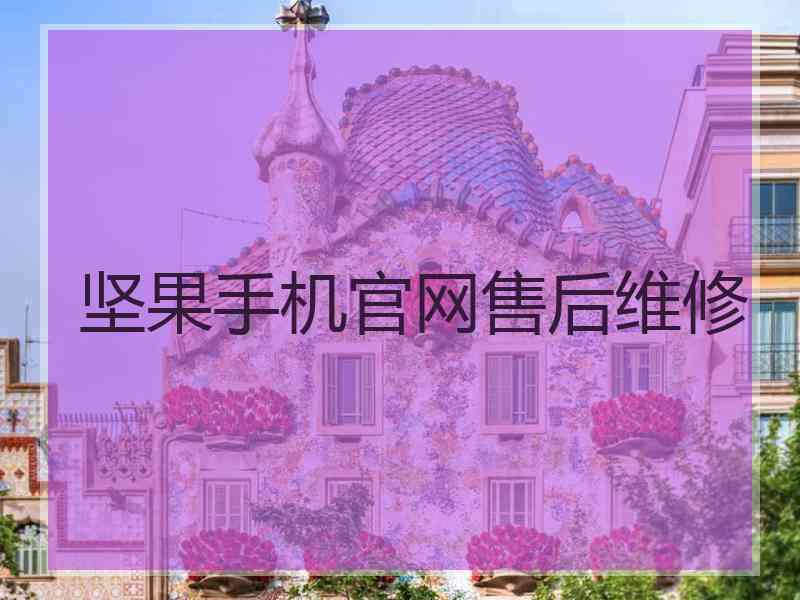 坚果手机官网售后维修