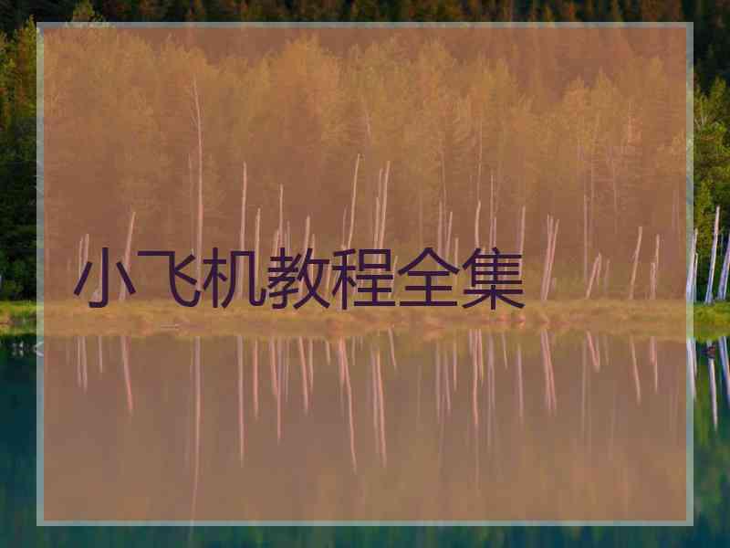 小飞机教程全集
