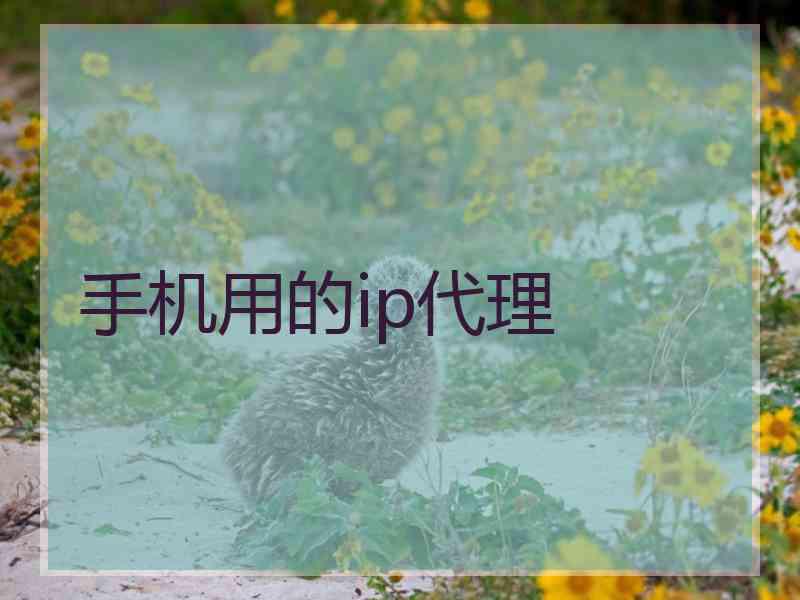 手机用的ip代理