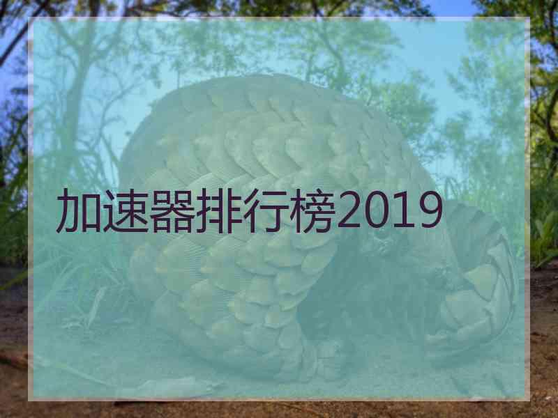 加速器排行榜2019