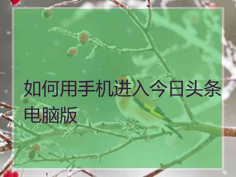 如何用手机进入今日头条电脑版