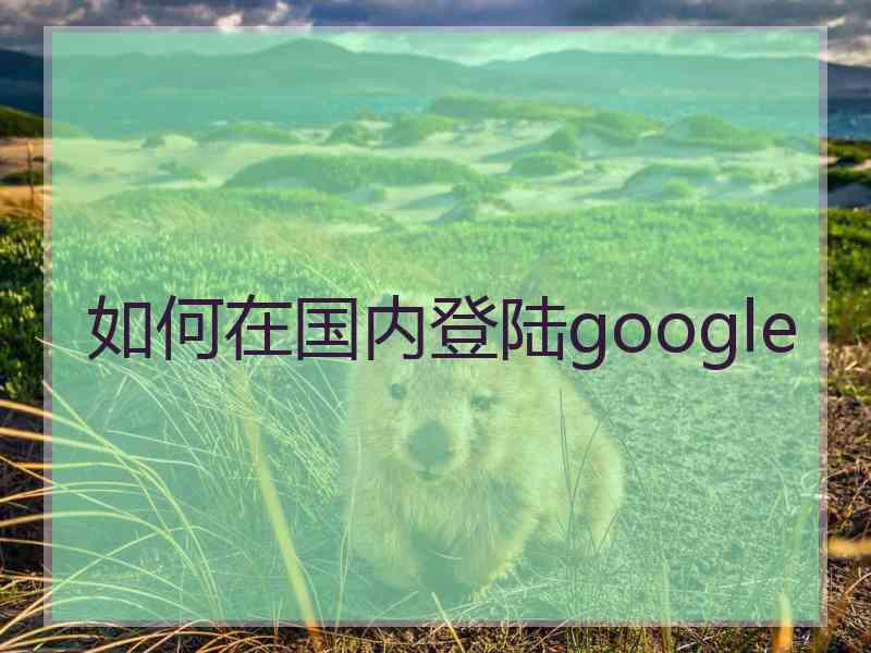 如何在国内登陆google