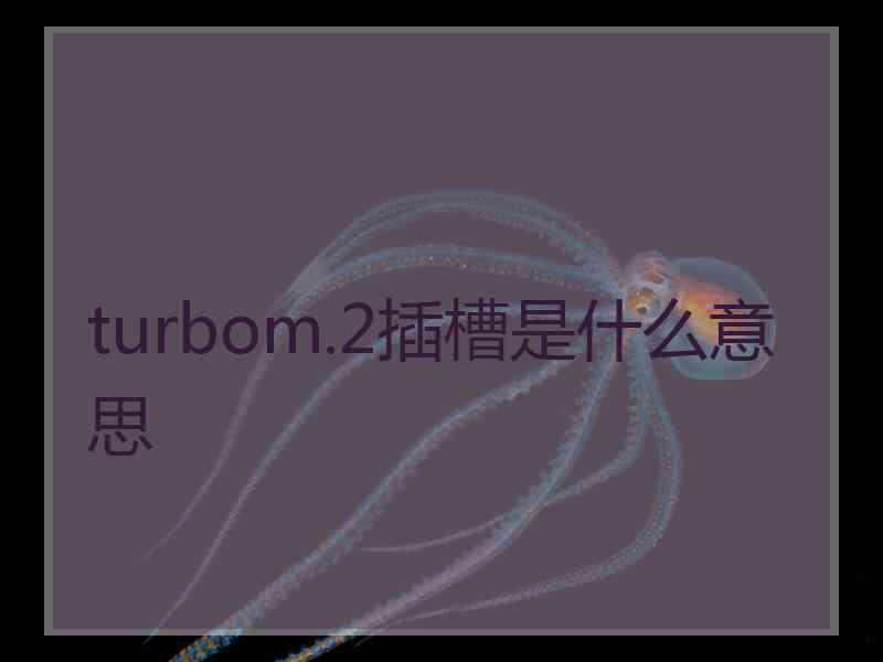 turbom.2插槽是什么意思
