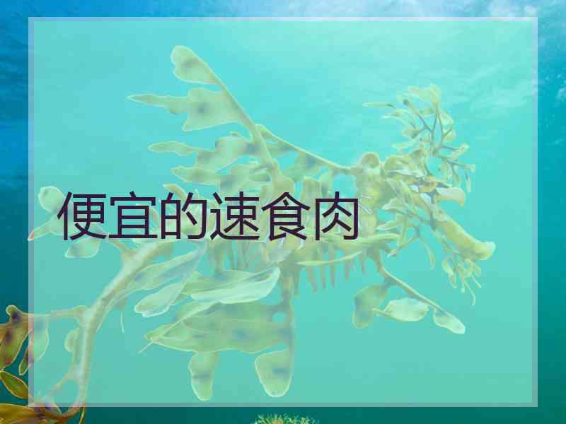 便宜的速食肉