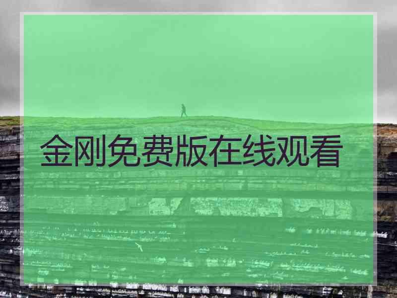 金刚免费版在线观看