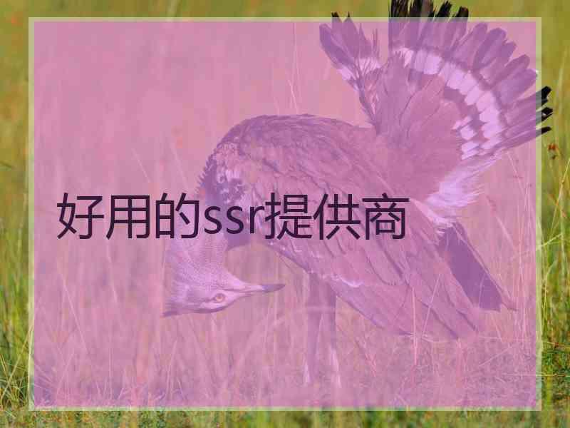 好用的ssr提供商