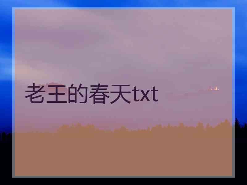 老王的春天txt