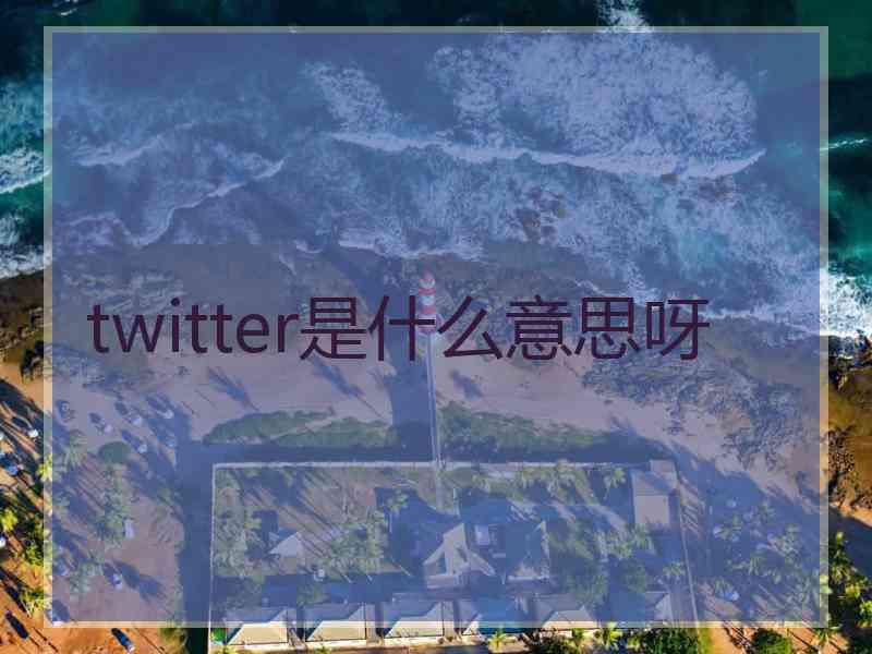 twitter是什么意思呀
