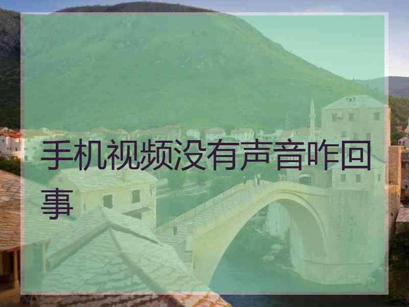 手机视频没有声音咋回事