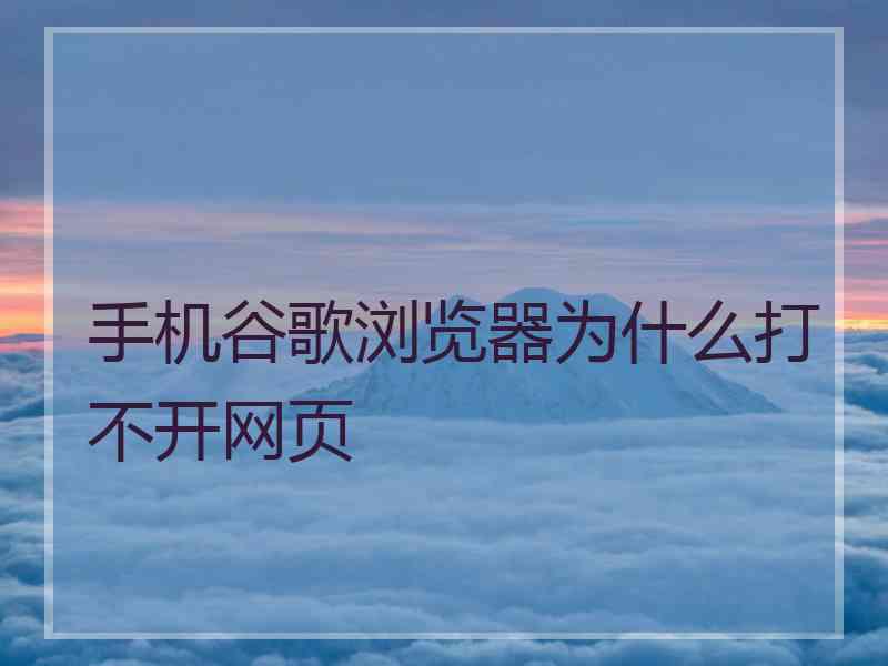 手机谷歌浏览器为什么打不开网页