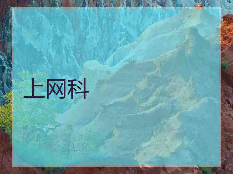 上网科