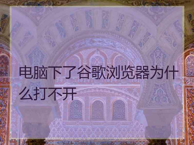 电脑下了谷歌浏览器为什么打不开