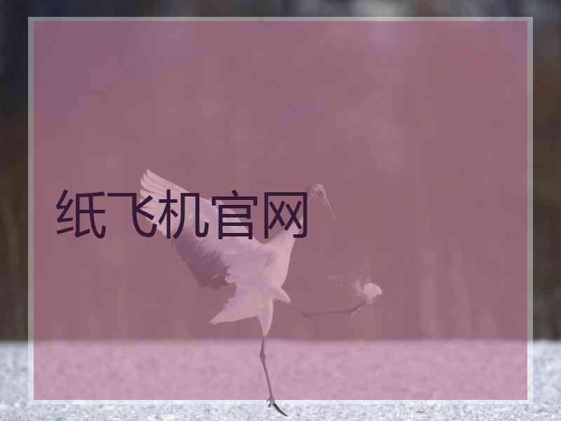 纸飞机官网