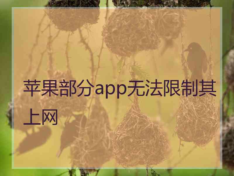 苹果部分app无法限制其上网