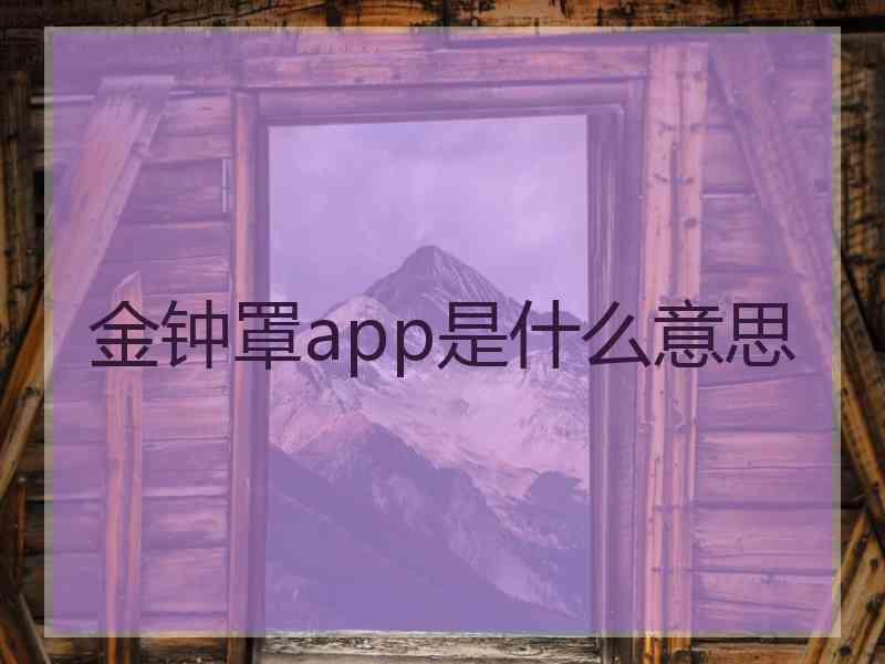 金钟罩app是什么意思