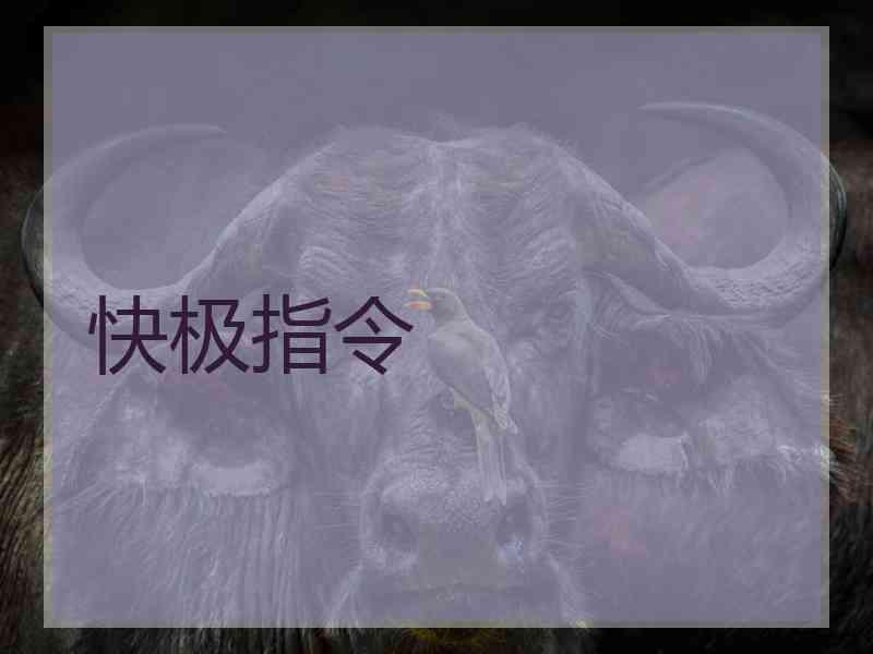 快极指令