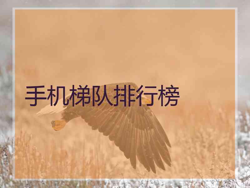 手机梯队排行榜