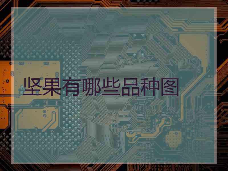 坚果有哪些品种图