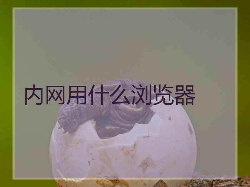 内网用什么浏览器
