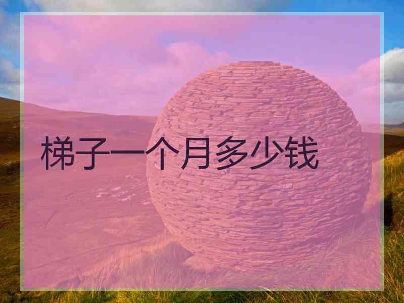 梯子一个月多少钱