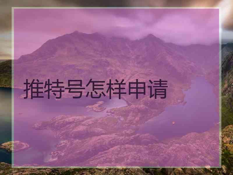 推特号怎样申请